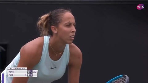 引了不少明 引了不少明