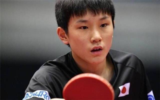 置互补性 置互补性